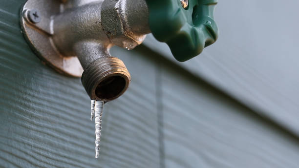 Best Plumbing Services Near Me  in Big Bear City, CA
